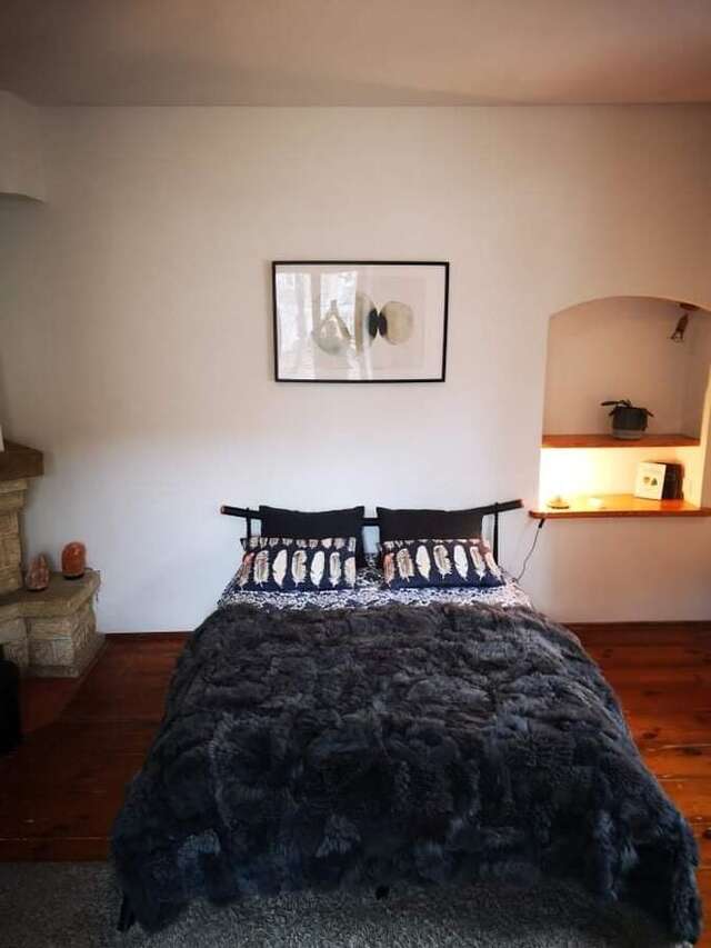 Апартаменты Cozy apartment located in the heart of old town Vilnius Вильнюс-4